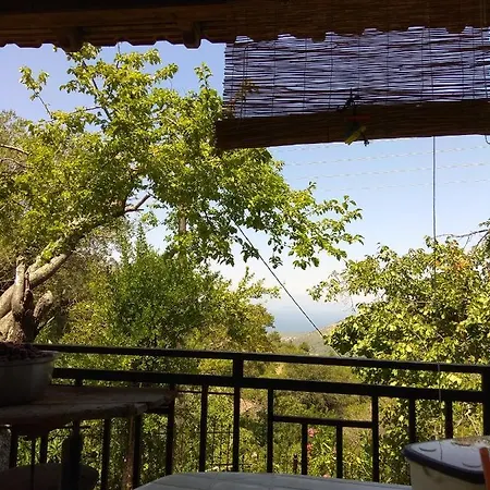 Landsted Mare Monte Kazaviti