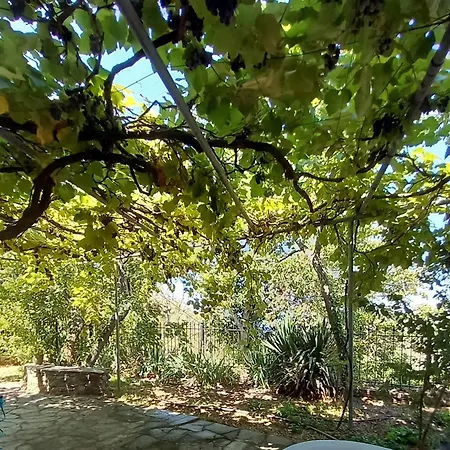 Mare Monte Kazaviti Mikros Prinos